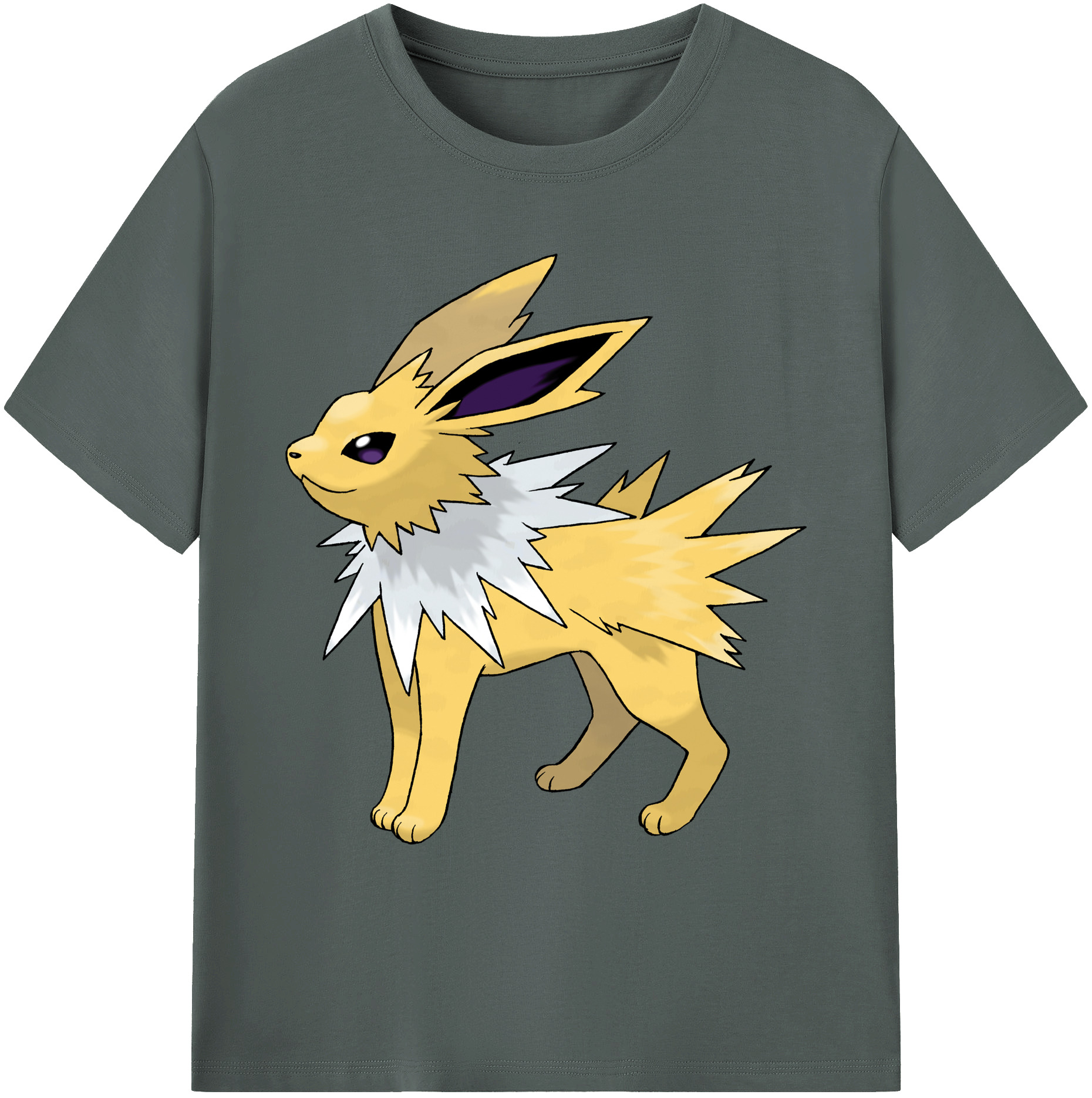 （画像用） ポケットモンスター Pokémon 綿100％ メンズ半袖Tシャツ｜肌触りやわらか＆通気性